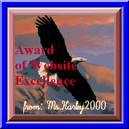 Harley-Davidson Award of Website Excellence Award