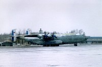 An-22 Cock