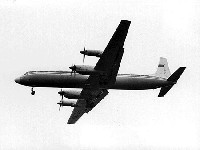 Il-18 Coot